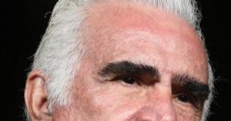 Vicente