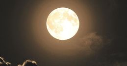 Lua