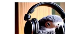 Stupid Borb Guy