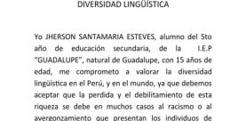 Jherson Benites Dominguez