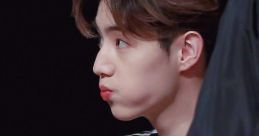 Mr.Mochi