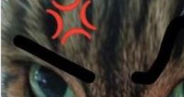 Rotanux