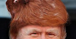 Tonald Drump