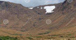 Glaciate
