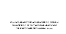 Maxwell Santana