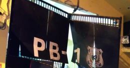 SALVA_PB1