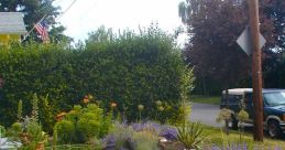 Gravenel gardens from gravenel gardens. # #speech #singing #syntheticsinging #inside #electronic #house #effect #silence