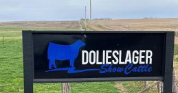 Dick Dolieslager