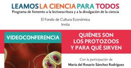 Mariadelrosariosanchezoroz Sanchez Oroz