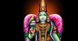 Meenakshi jawa
