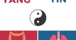 Der yang