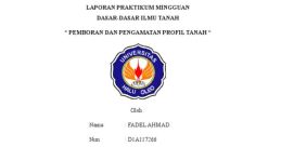 Fadel Ahmad Pratama