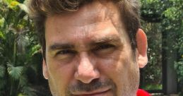 Héctor Palacin