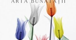 ARTA NUABA