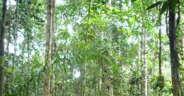 Biodiversity