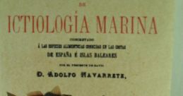 Marina Valin