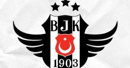 Bjk039