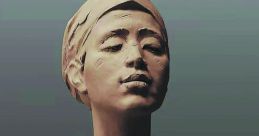 Taoran Liu