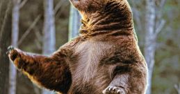 BigBeaR