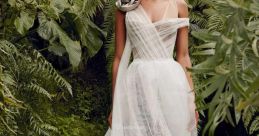 Novia Wang