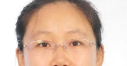 Shengdan Wang