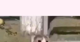 Azaelitoelmáscapito