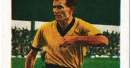 Jimmy Murray