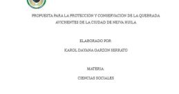 Karol Dayana Pinilla Calderon