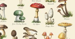 Mushrooms:)8