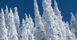 SKI