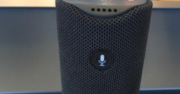 Echo
