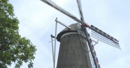 Twan Maasland