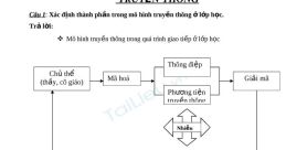 Truyền thông PEM