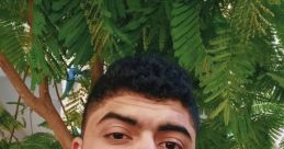 Abdallah Samir