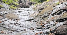 Sumedh Patil