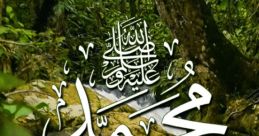 Muhammad Wahsh