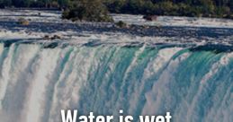 Water is wet