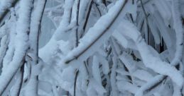 Frost Moment