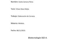 Dante Zamor Perez
