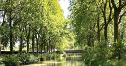 LES BATEAUX TOULOUSAINS