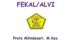 Adiva Alvi