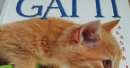 Il mondo dei gatti