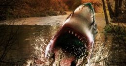 Ozark Shark