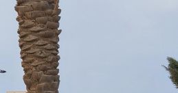 ‫أبـحِر ”‪PodAbher‬‏“‬