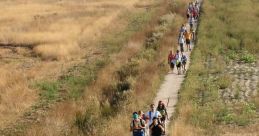 Camino