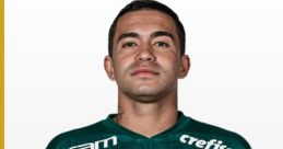 Dudu sakis