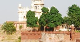 Ustad Meer Honey Jodhpur