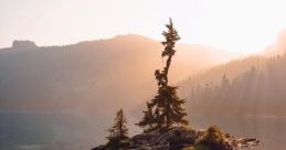 Hazy Morning