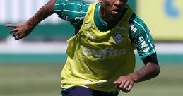 Marco Rocha