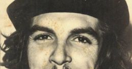 Che Che from Che Che. # #rock #bluesrock #effectsunit #distortion #drummachine #alinstrument #electronic #downtempo #pop